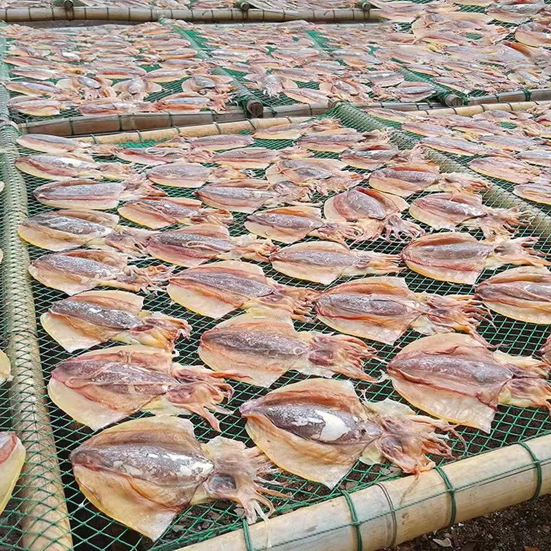 【爆品】东海墨鱼干自然晒干肉质鲜嫩浙江本港码头半淡海鲜