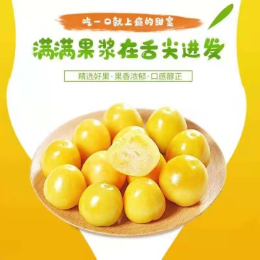 【一件代发】姑娘果精品灯笼果黄菇娘特产甜姑娘果量大**