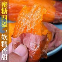 【精品】山东烟薯25蜜薯烤地瓜专用地瓜红薯批发