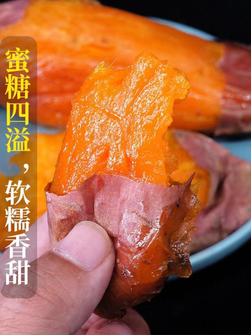 【精品】山东烟薯25蜜薯烤地瓜专用地瓜红薯批发