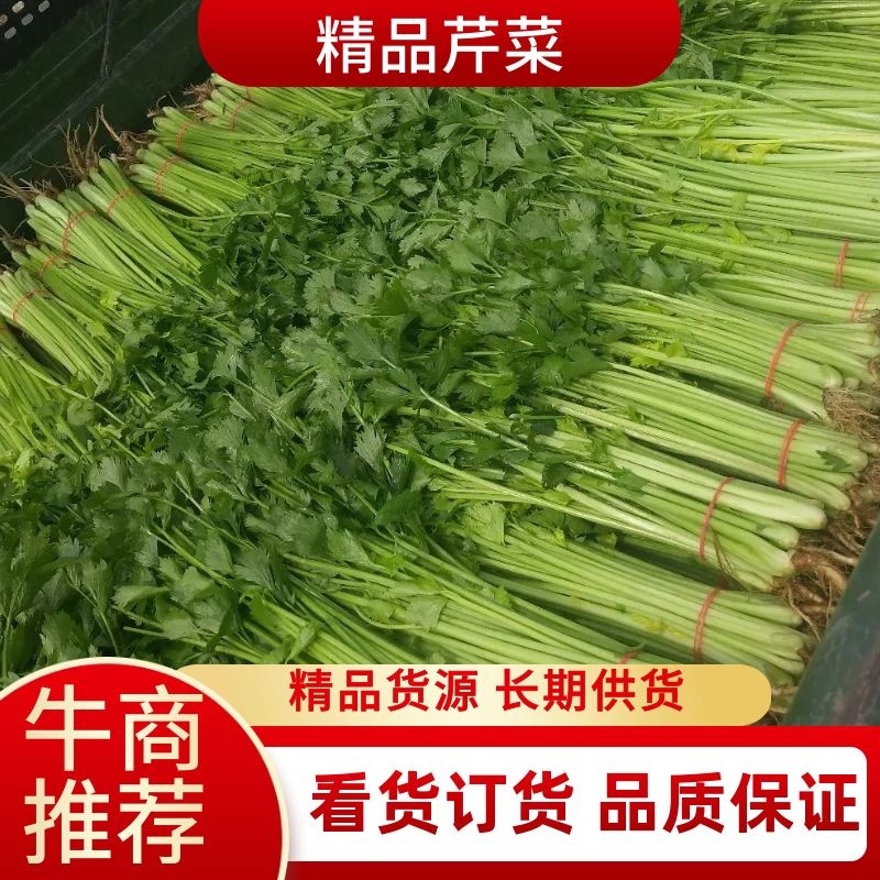 芹菜，基地直供，价格美丽，货源稳定，保质保量发货