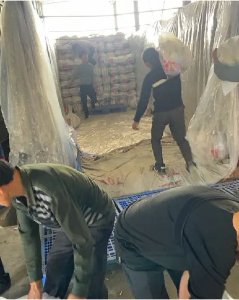 白萝卜，绿白分明，质量优，价格低。可视频看货