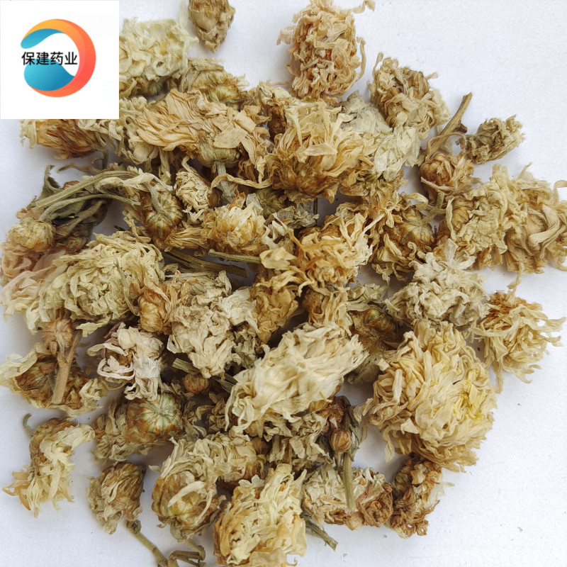 菊花好统货河北菊花颜色白自产自销新店开张河北