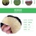 柚子苗琯溪蜜柚树苗白肉柚子苗白心晚熟蜜柚苗琯溪蜜柚嫁接苗