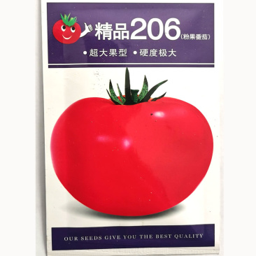 西红柿种子大粉果番茄早中熟品种无限生长抗病强番茄籽