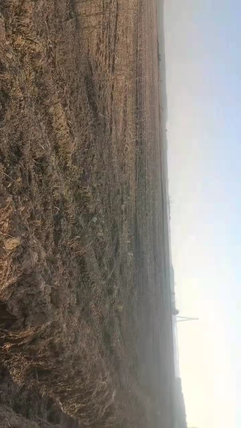 土地对外承包，黑土地，白土地，黄土地，欢迎实地考察
