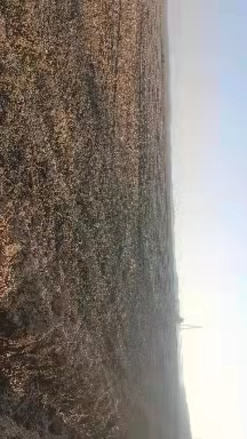 土地对外承包，黑土地，白土地，黄土地，欢迎实地考察