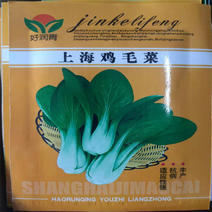 鸡毛菜菜籽种子上海青菜菜种籽大全蔬菜种孑大田用种白菜籽