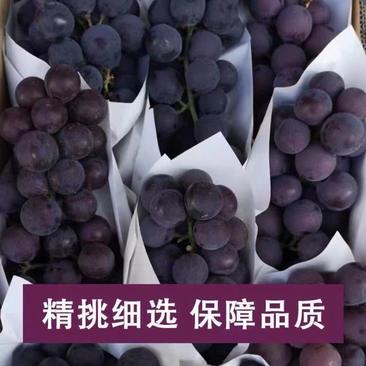 【新年礼盒装】巨峰葡萄大量有货欢迎微商社区团购批发商