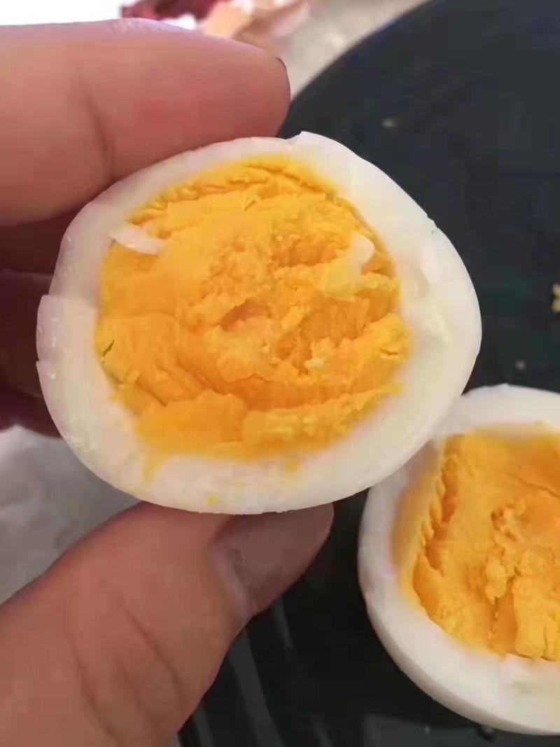 土鸡蛋绿壳柴鸡蛋农户自家养殖柴鸡鸡蛋营养价值高