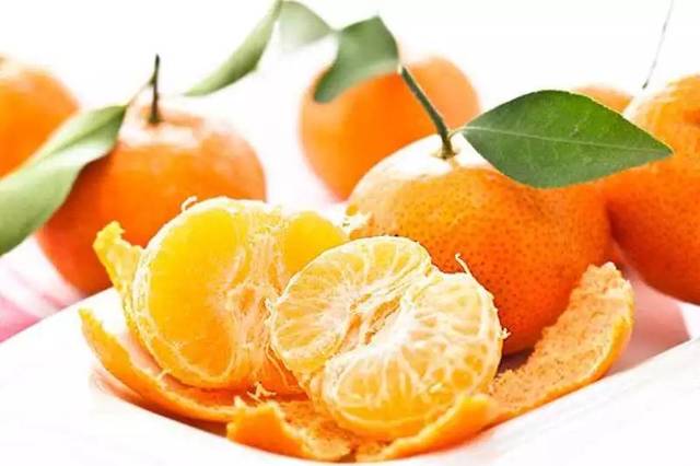 沙糖桔与其他橘子对比图