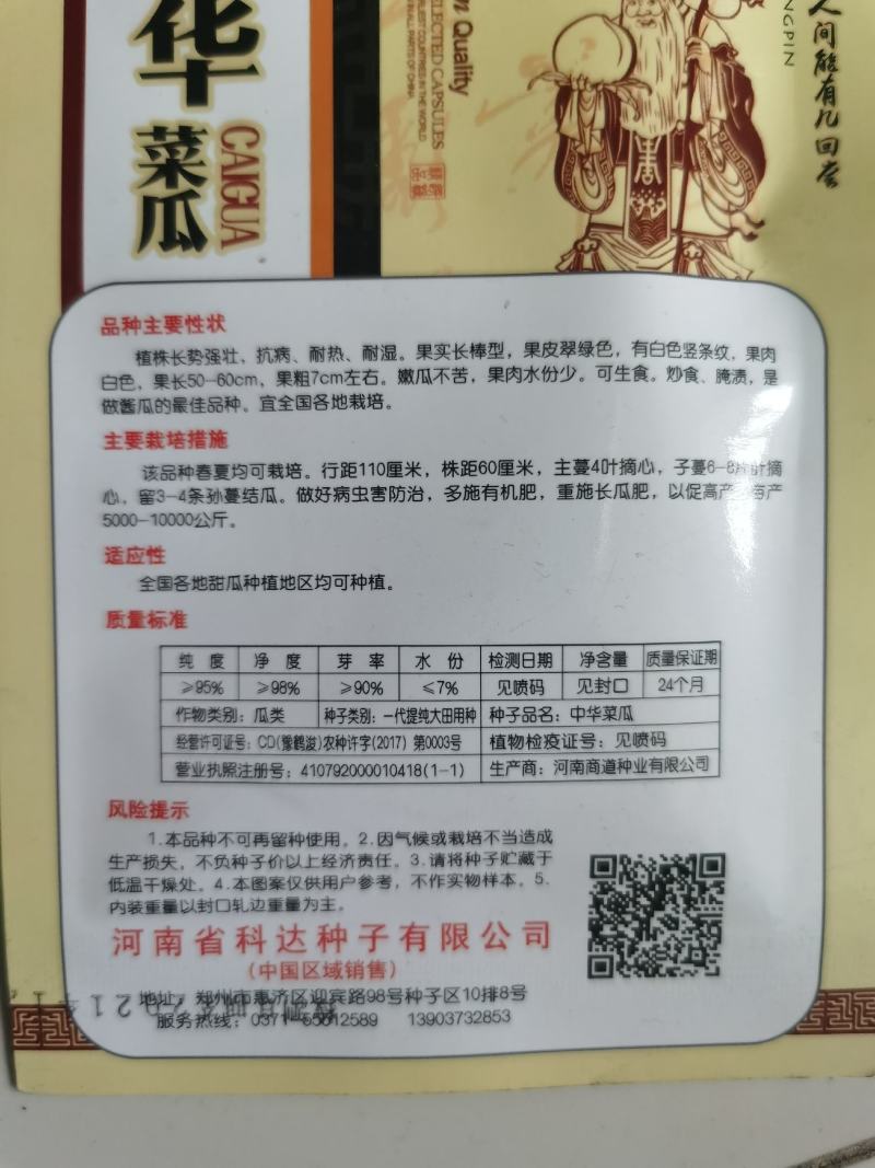 中华菜瓜种子老品种青皮脆瓜绿皮白瓤甜种四季早熟基地种植