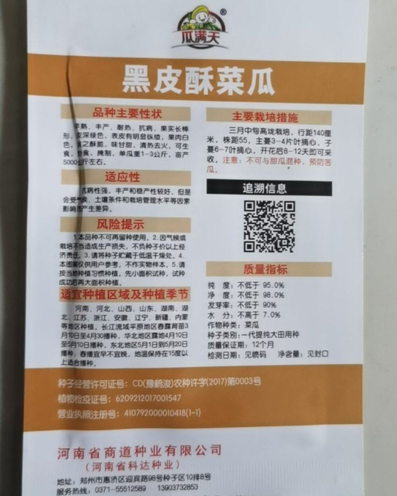 黑皮酥菜瓜种子八棱脆瓜种子老品种菜瓜籽四季种植蔬菜架种植