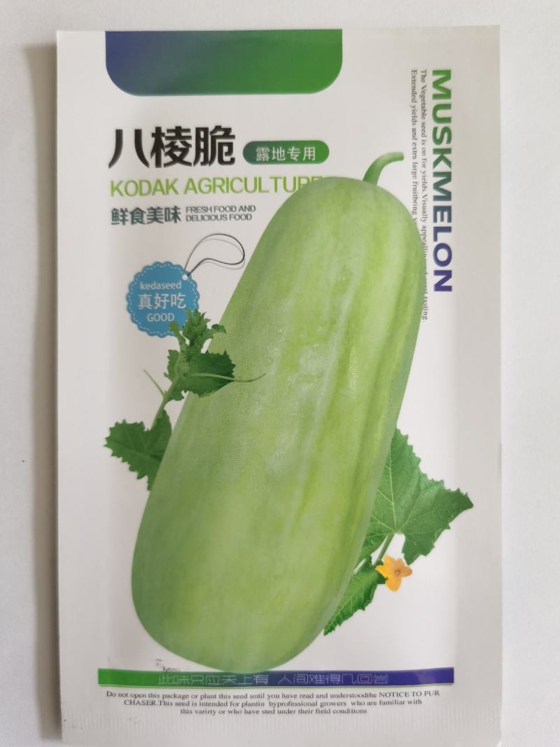 菜瓜种子八棱脆菜瓜青瓜甜瓜嫩瓜种籽香脆菜瓜春秋种植