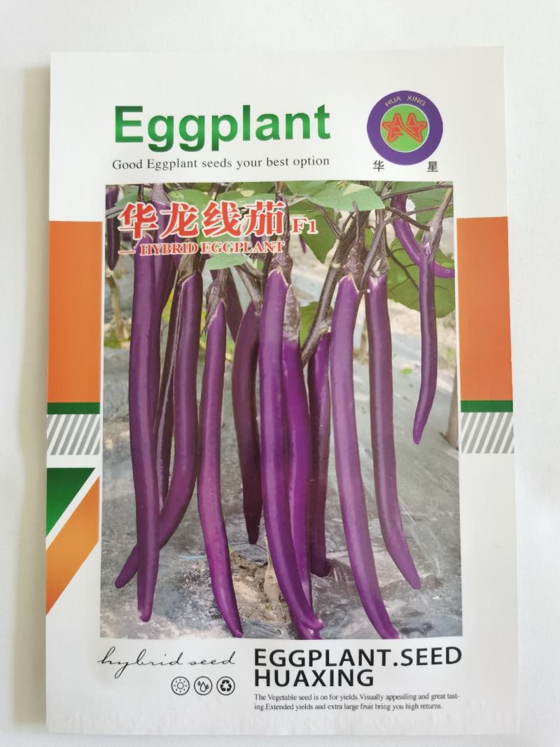 华龙线茄种子茄子种籽紫线茄种子耐高温细长白肉大田基地选