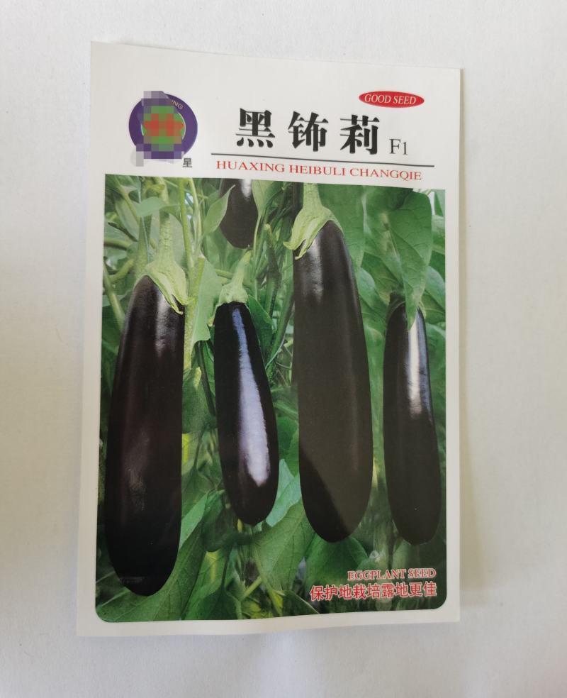 黑鉓莉茄子种子绿萼杂交黑长早熟绿把茄子基地种植