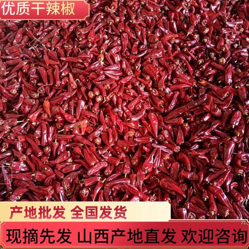 山西应县剪把北京红干辣椒大量上市，个头大，颜色好，椒形大
