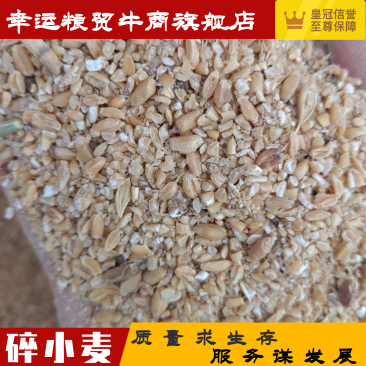碎小麦，适合鸡鸭鹅猪牛羊养殖使用。质量保证。