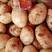 【精品土豆】云南土豆，颜色果形漂亮，基地直发，长期供货