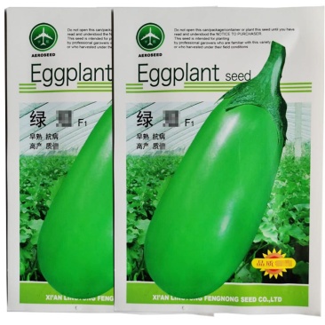 绿冠茄子种子早熟抗病强高产茄种籽果形大露地大棚种植