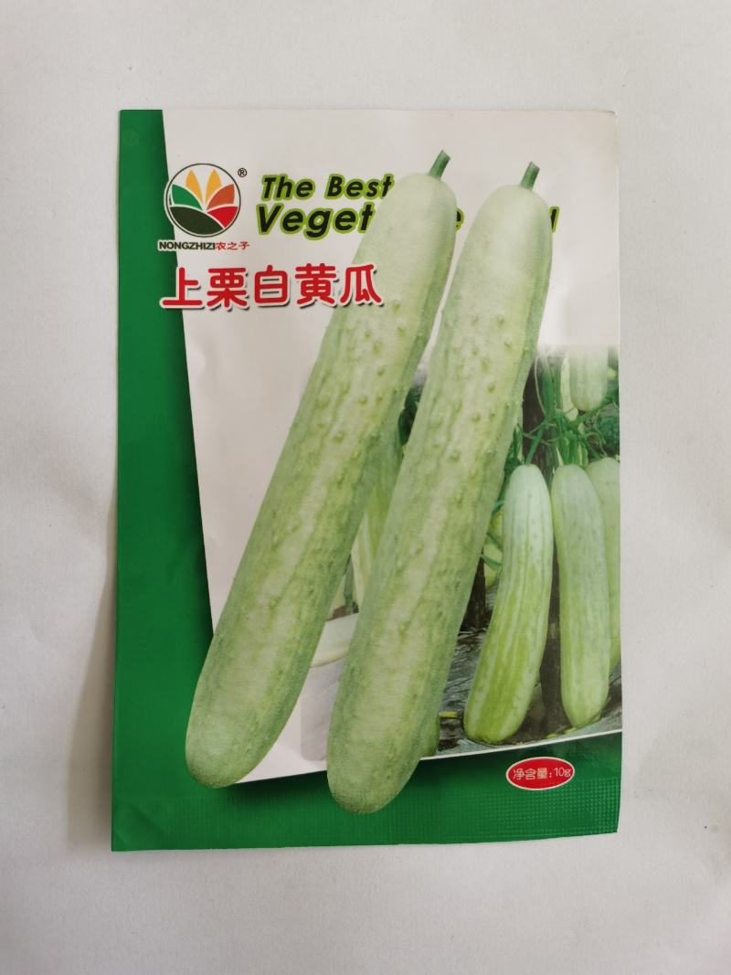 上栗白黄瓜种子水果黄瓜早熟杂交水果型夏秋冬季大田