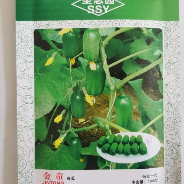 金童黄瓜种子qq黄瓜种子种籽四季盆栽种孑农家阳台盆栽夏季