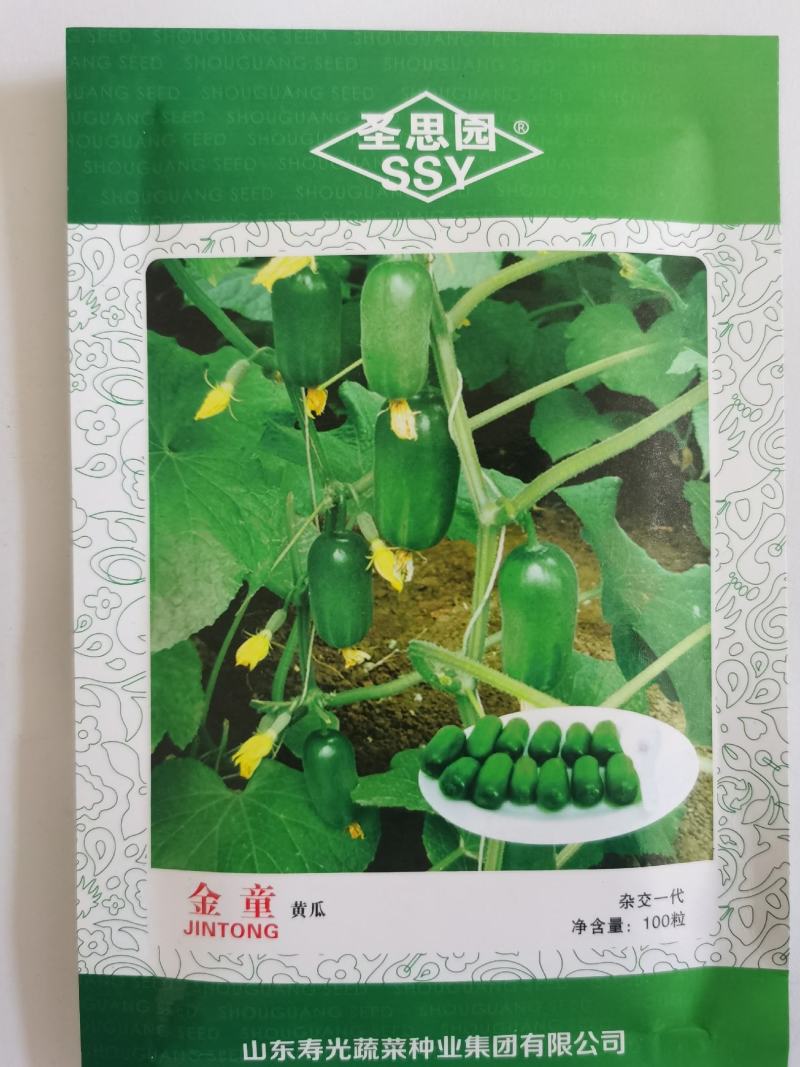 金童黄瓜种子qq黄瓜种子种籽四季盆栽种孑农家阳台盆栽夏季