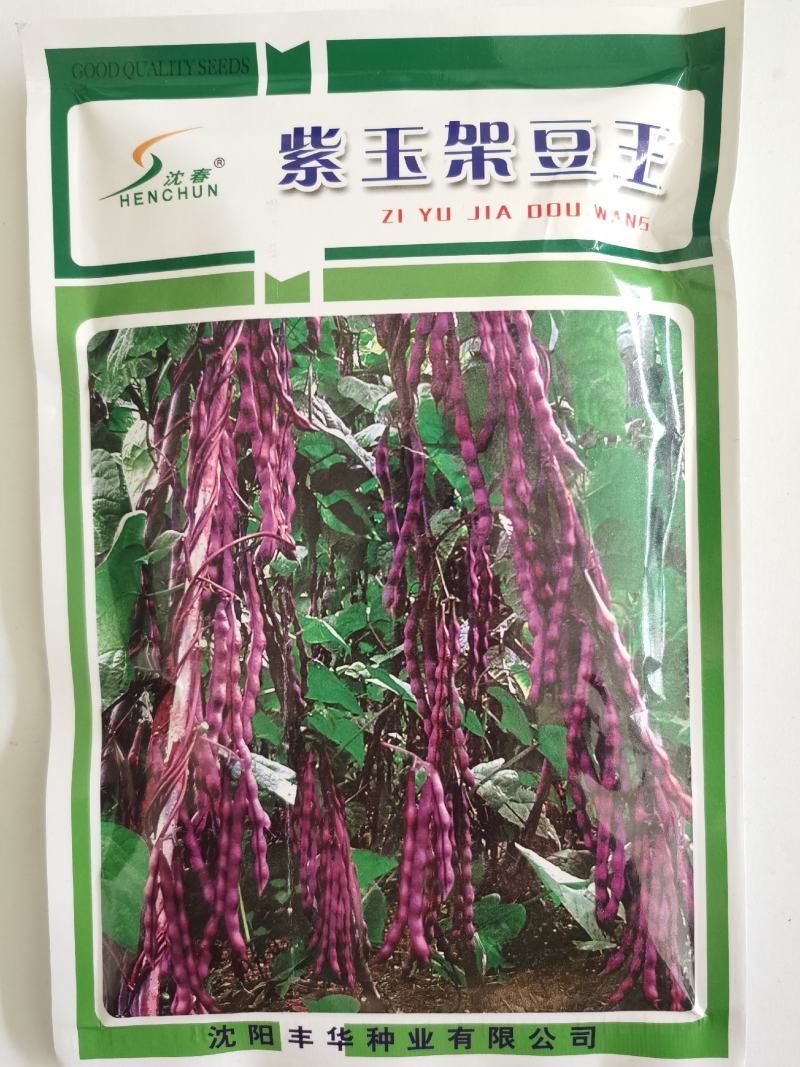 紫玉架豆种子种子摘不败豆角种籽紫色无纤维架豆籽