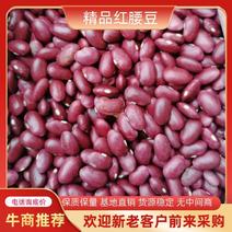 云南农家2023年红糯豆豆新货，无霉豆，可订货