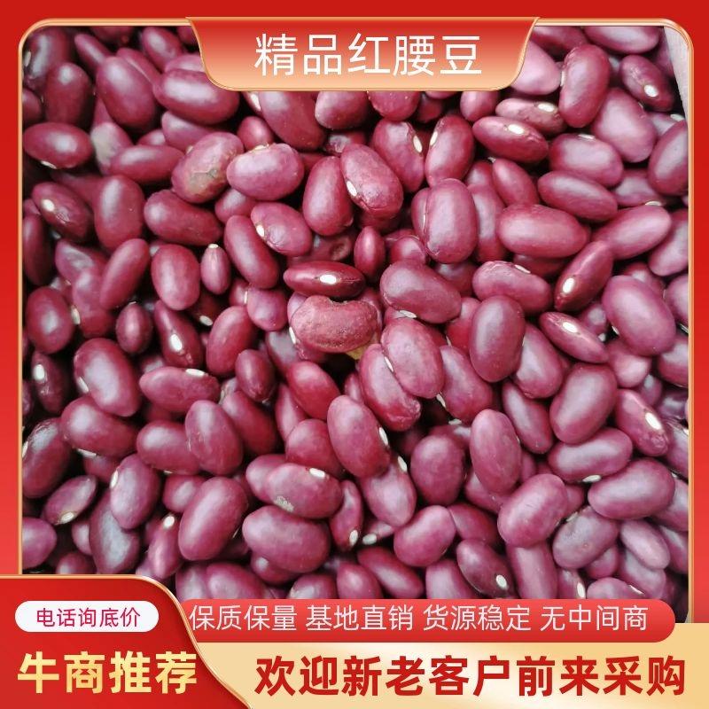 云南农家2023年红糯豆豆新货，无霉豆，可电话联系订货