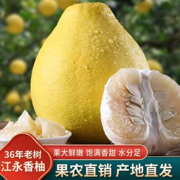 【沙田柚】江永精品沙田柚产地直销产地一手货源，高糖果靓