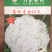 高抗青梗60-80天小米粒台湾力禾种苗有机花菜种子松花菜