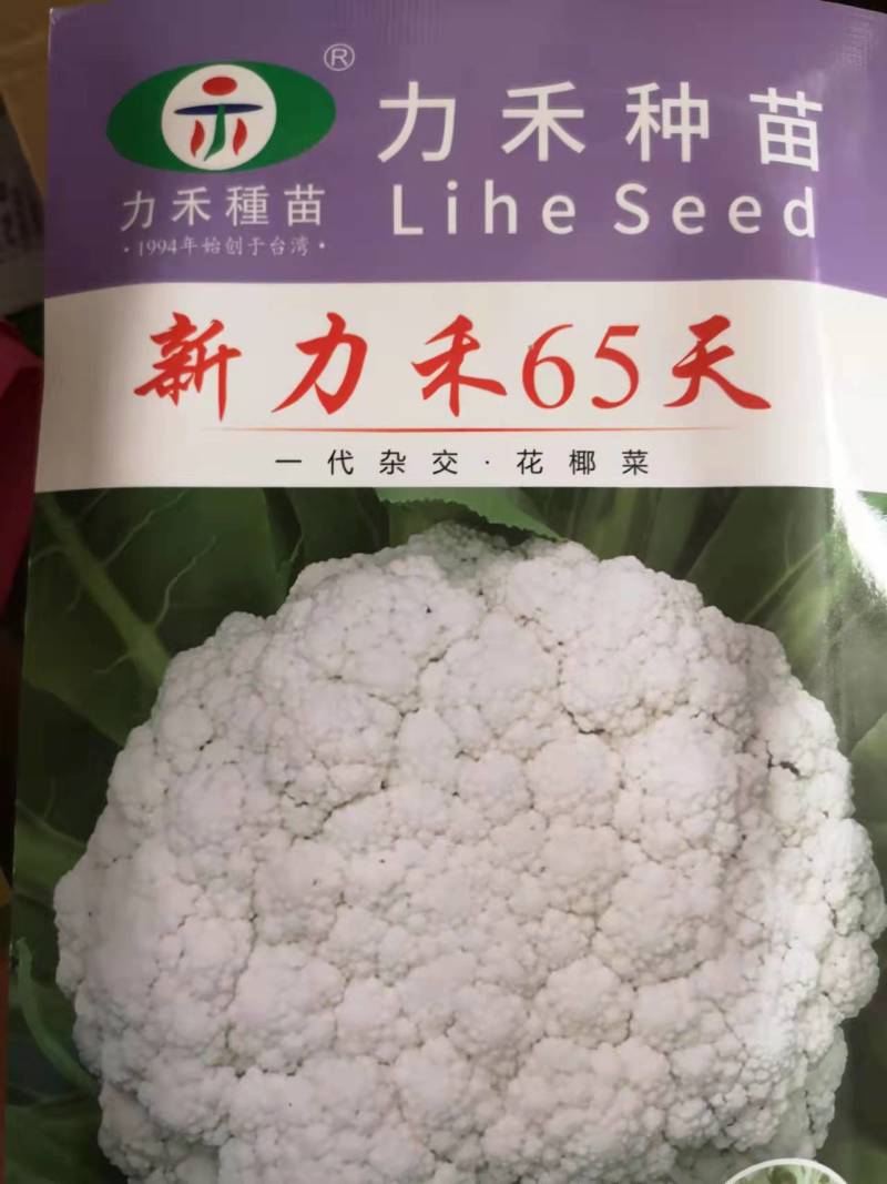 高抗青梗60-80天小米粒台湾力禾种苗有机花菜种子松花菜