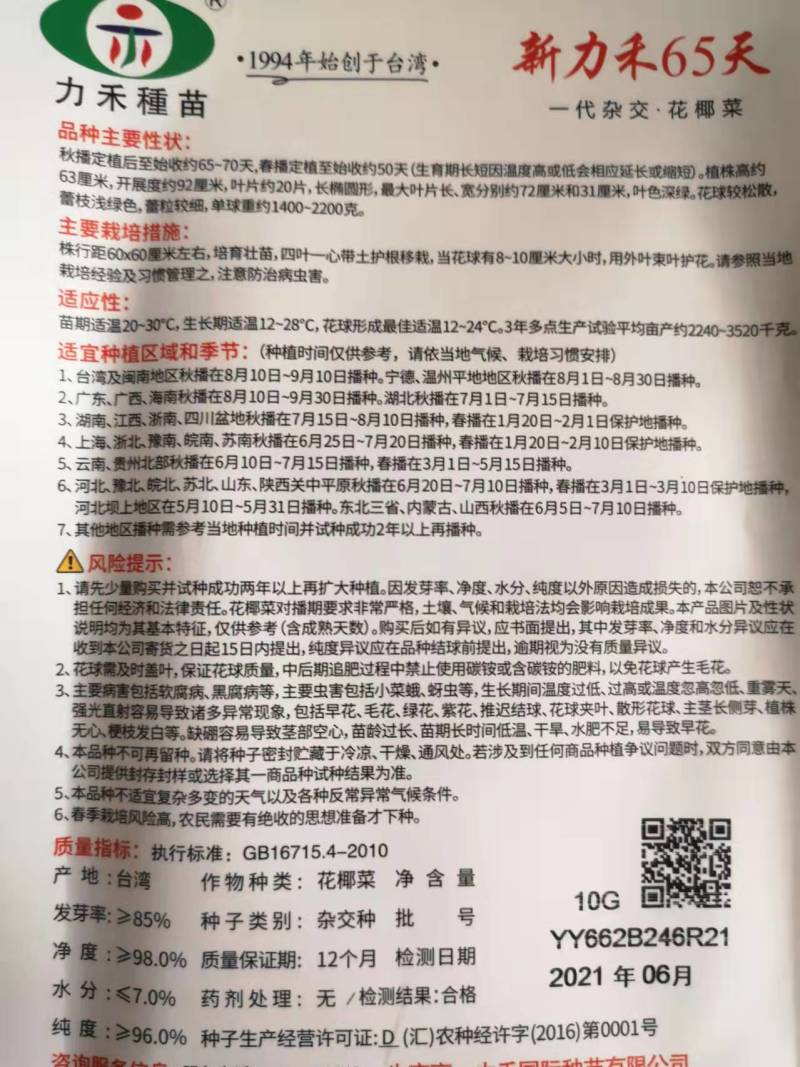 高抗青梗60-80天小米粒台湾力禾种苗有机花菜种子松花菜