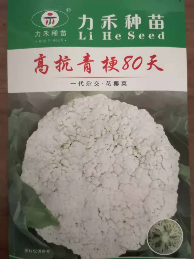 高抗青梗60-80天小米粒台湾力禾种苗有机花菜种子松花菜