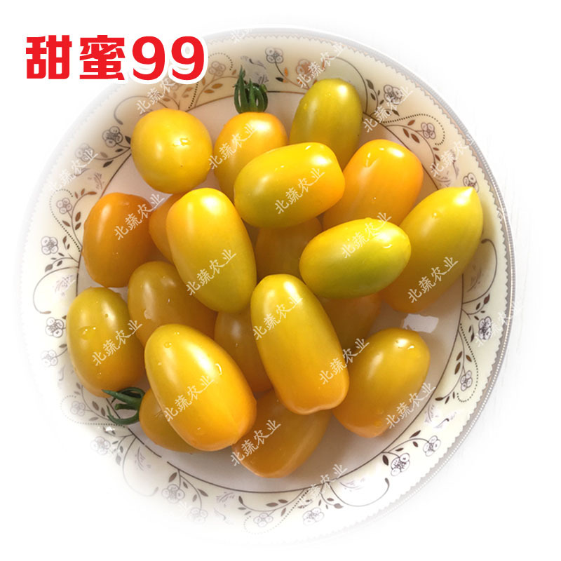 花生番茄种子超甜圣女果种籽黄色小番茄种籽甜蜜99小柿子籽