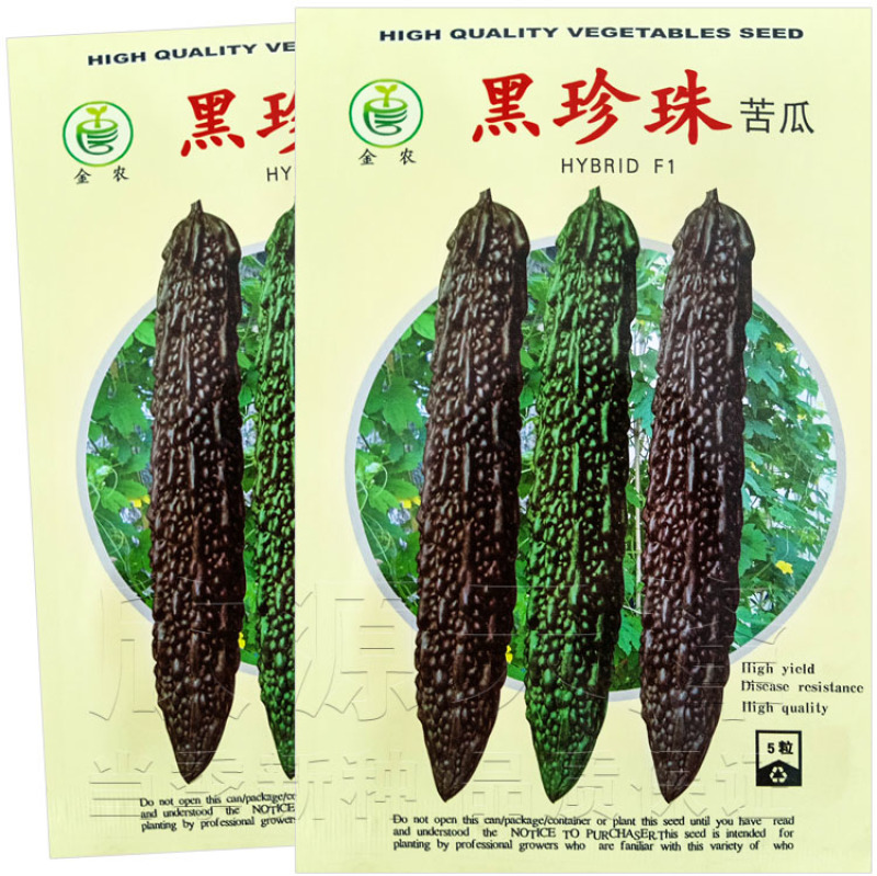 黑苦瓜种子墨绿疙瘩绿苦瓜水果黑苦瓜种籽高特色蔬菜种子