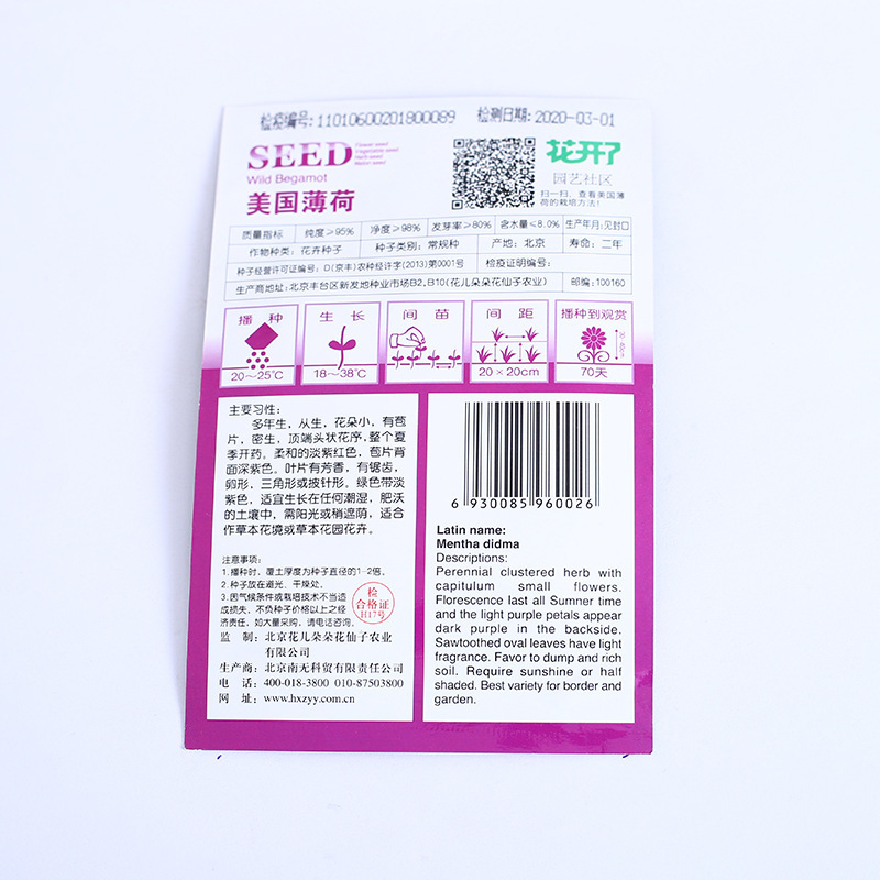猫薄荷种子野菜种籽特菜叶菜露地四季特菜种子大棚种植