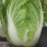 四川精品黄心白菜，大量供货，无烧心，无麻点，货源充足。