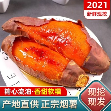 【好货推荐】红薯辽宁龙薯九号红薯，条形好颜色红现挖现发
