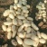 【推荐】山东滕州荷兰十五土豆3两以上个头均匀整车批发量大