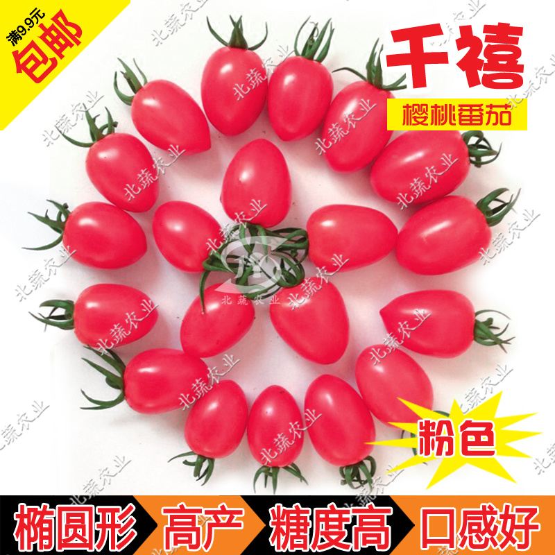 小番茄种子超甜粉千禧小柿子籽耐裂圣女果种孑口感好北蔬农业