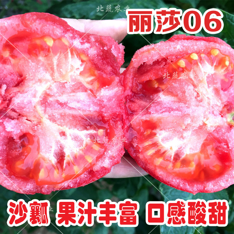 西红柿种子沙瓤大果番茄种籽好吃毛粉柿子种丽莎06北蔬农业