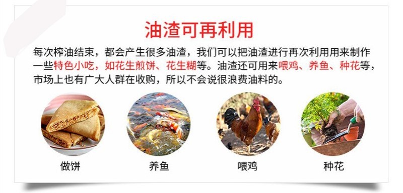 中大型花生榨油机全自动螺旋大豆菜籽油坊加工葵花籽压油机