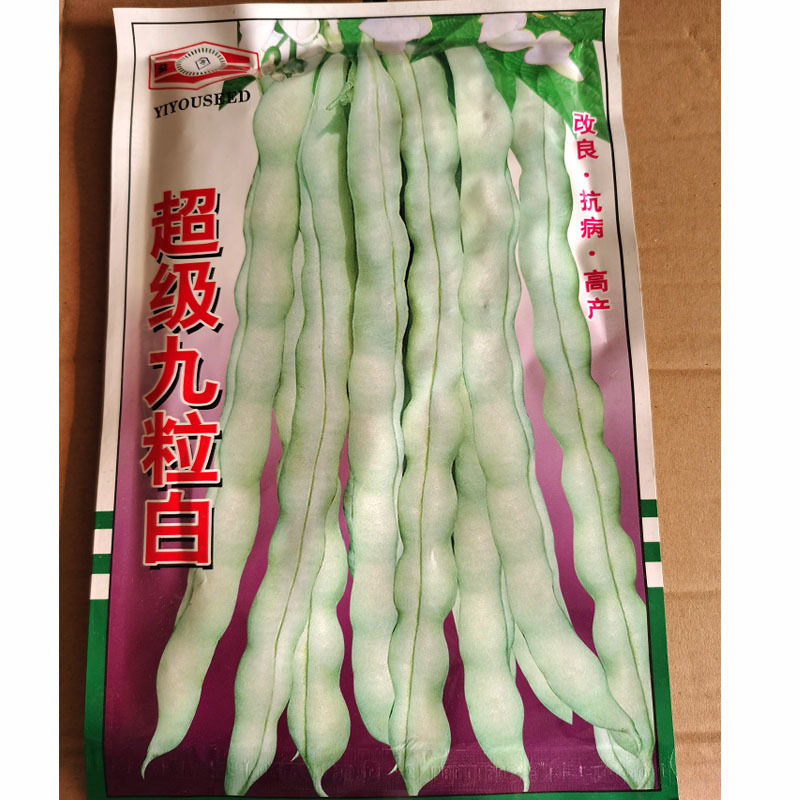 超级九粒白种子早熟老来少豆角四季蔬菜孑春季农家孑