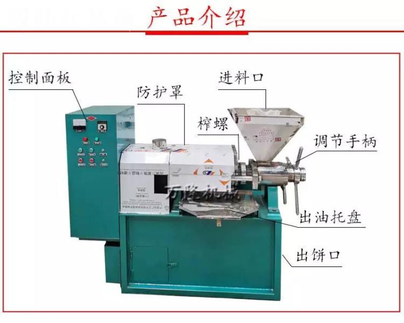 冷热两用压油机全自动榨油机大豆芝麻冷热两用挤油机设备