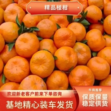 湖北精品椪柑，果园新鲜发货，真实报价诚信交易，欢迎咨询