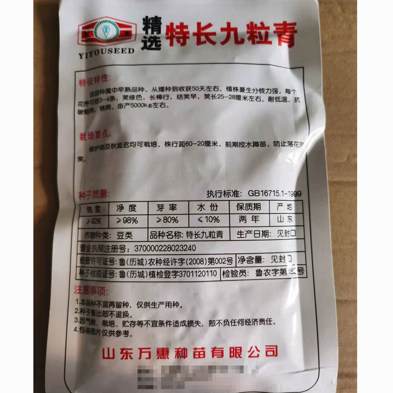 特长九粒青绿芸豆种子高产早熟爬架作物长棒行50天上市