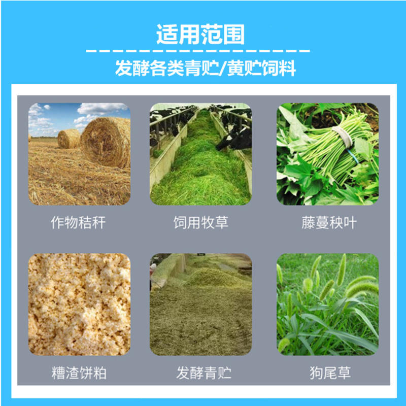 玉米小麦稻田秸秆青草发酵饲料青贮黄储发酵剂可定做代加工