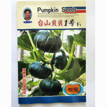 有好货贝贝南瓜种子粉糯香甜露地栽培搭架种植早熟口感好